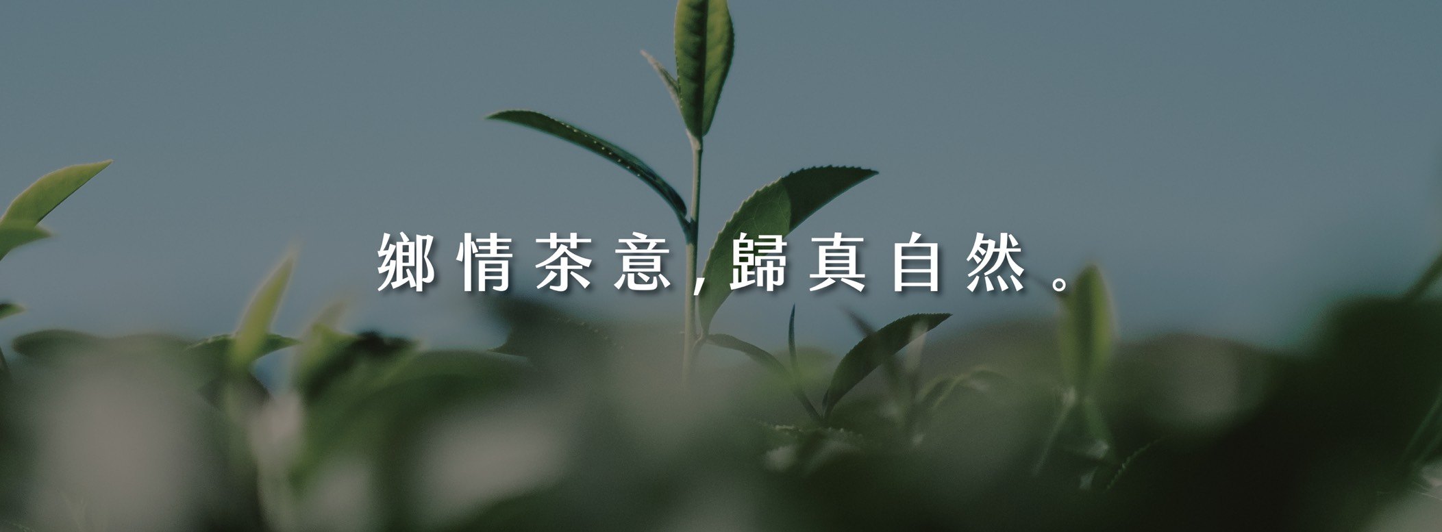 藝峰行 — 鄉情茶意,歸真自然